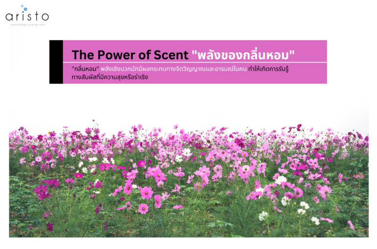 The power of scent “พลังของกลิ่นหอม” พลังเชิงบวกมักมีผลกระทบทางจิตวิญญาณและอารมณ์ในคน ทำให้เกิดการรับรู้ทางสัมผัสที่มีความสุขหรือร่าเริง